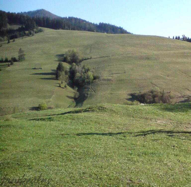 Zázrivá, pozemok